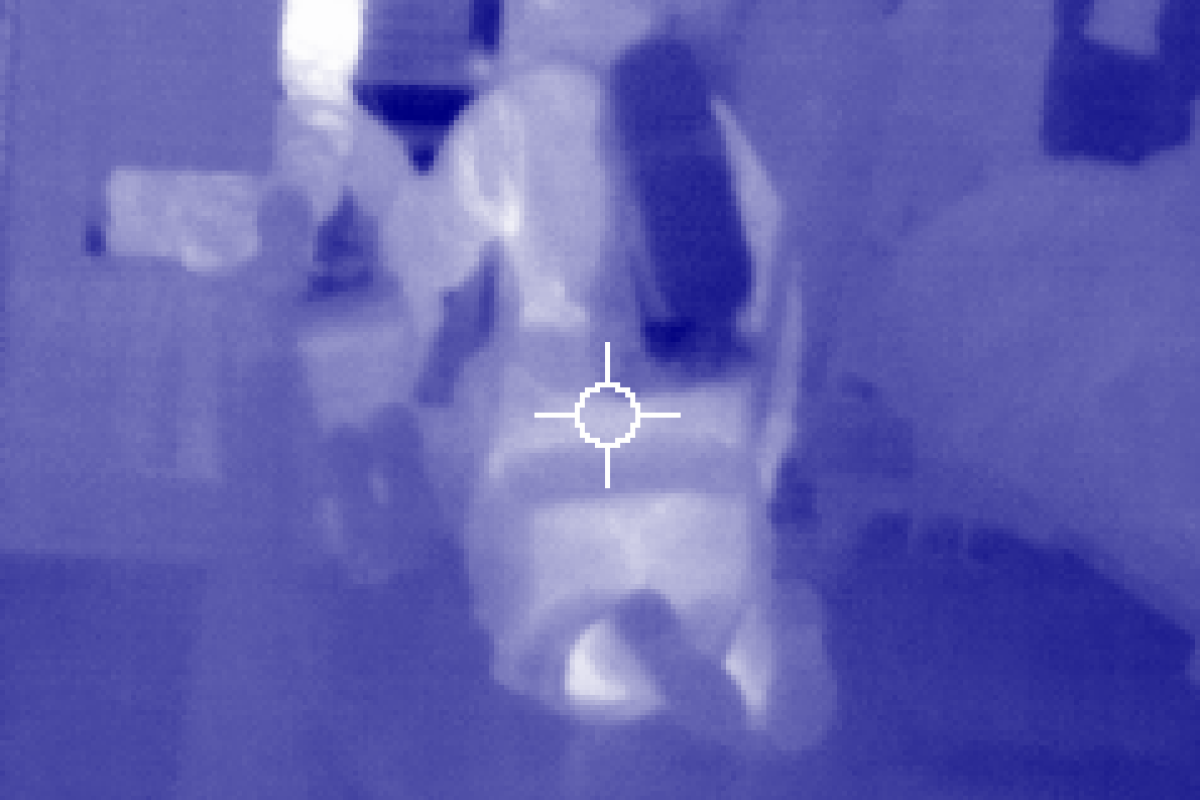 The view through the Thermal Imaging Camera